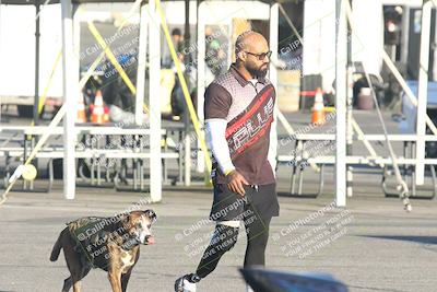 media/Jan-30-2026-2WTD (Fri) [[9b24c6d623]]/1-Around the Pits/